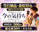 最短10分 質問2件　大切な子の今の気持ちを視ます 即日対応｜ペット全般OK｜今伝えたい気持ちを短文でお届け イメージ1