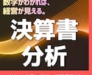 忙しい社長に代わって、決算書をわかやすく分析します 忙しい社長のための！サクッと決算書分析サービスです。 イメージ1