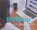 BiNDupでHP制作いたします コーポレートサイト、LPから個人の方まで イメージ1
