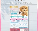 イベントや開店に！伝わるチラシを形にします 初心者歓迎！強みを引き出し集客・認知を広げるデザイン イメージ6