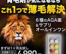 修正無制限で格安・高品質なバナー制作します お値段以上の納得いく品質と成果を出し迅速・丁寧に対応します！ イメージ3