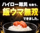 ハイロー終了でお困りの方へお届けします “次”が見つからないあなたに、新たな選択肢を。 イメージ1