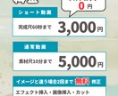 丸投げOK！YouTube動画を編集します TikTok/YouTube/Instagram/ショート イメージ2