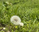 あなたのモヤモヤした気持ち、ちょっとスッキリします 生きずらい今を生きる貴方の悩み、思う存分話して欲しい イメージ6