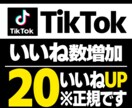 TikTok 日本人いいねを20増やします 既存のアカウントで拡散させていただきます。 イメージ1