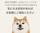 SNS投稿画像をデザインしますます ご希望に寄り添い伝わる形に仕上げます イメージ3