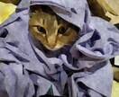 5枚1000円！写真をイラスト風に加工致します 写真を載せたいけどそのまま載せるのは…！とお悩みの方へ！ イメージ2