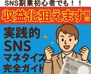 SNS初心者も！実践的収益化完全ガイドお渡しします SNS副業初心者でも収益化を目指せるマネタイズ完全ガイドです イメージ1