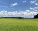 ご家族、当事者からのいじめ精神疾患の相談承ります 笑顔の日々を取り戻す為に、僕もお手伝いさせて頂きます イメージ1
