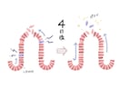 医療・ヘルスケア・素朴系　商用イラスト制作します 教育・医療・EC・カタログ対応｜温かみのあるタッチ イメージ6