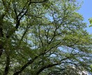YouTubeなど文章の文字起こしを行います 20分1000円からお受けいたします！ イメージ1