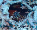 フリー素材提供します 海素材多め、風景など色々あります。 イメージ7