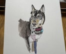 犬や猫の絵を描きます 画像からえんぴつや顔彩で絵を描きます。 イメージ7