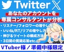 VTuber専用！Twitter,Xコンサルします 準備中様やVライバー様も◎必要な運用等３日間解説！質疑応答◎ イメージ1