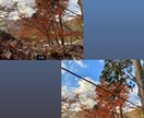 お洒落に可愛く写真加工致します プリクラのような顔加工!!映える!!!背景、フィルター加工 イメージ2