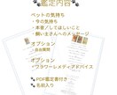 ペットの気持ちをタロットで視ます ※ 生きている子も虹の橋の子も対応。心のケアも丁寧にサポート イメージ3