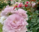 あなたのハッピーをお聴きします あなたの大切な声で、心の嬉しい！を伝えてください。 イメージ7
