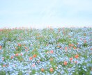 誰でもどうぞ。悩み、恋愛相談、愚痴聞きます あなたの話し相手、相談相手になります。 イメージ1