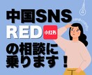 中国SNS「RED/小紅書」に関する相談に乗ります アカウント運用から連絡先の交換方法まで幅広くご相談可能！ イメージ1