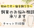 初めての犬猫飼育についてご相談承ります 動物病院勤務10年の経験をもとにお答えします イメージ1