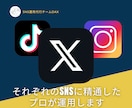 Twitter／X【1ヶ月】運用代行します SNS実績チームが対応！2年間の販売実績500件超え イメージ2