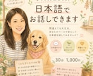 ゆっくり、あせらず、日本語でお話しできます 間違えても大丈夫。あなたのペースで日本語を話してみませんか？ イメージ1