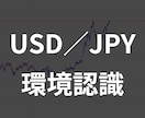 ドル、円のトレード手法を教えます FX初心者、FXで結果が出ない人。徹底的にサポート！ イメージ2