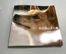 Amazonで写真集出版するためのサポートをします Amazonなら電子写真集、紙の写真集どちらもつくれます。 イメージ4