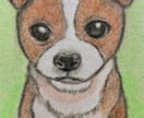 犬の似顔絵 イラスト風に描きます。 イメージ1