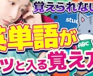 高品質の動画でYouTubeデビューお手伝いします 徹底相談！YouTubeデビューしたい方を全力で応援します！ イメージ10