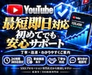 YouTubeの再生回数を5万回以上増やします 最大10万回｜ショート動画対応｜複数動画への振分け可 イメージ4