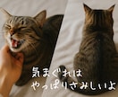 不安にさせる回避型の彼へのお悩みを受け止めます 近づくと離れる彼に振り回され疲れたあなたの心を休める時間です イメージ5