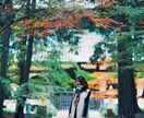 写真や動画の編集をし、お届けします 何気ない今、この瞬間をあなたに。 イメージ4