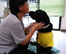ペットに対する熱～い氣持ちを、お聞きします 自慢話♡困った話♡や、みんなに教えてあげたい事などお気軽に❣ イメージ1