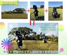 画像、写真編集いたします 画像修正も可能。余分な部分を消したり追加したり応相談 イメージ2