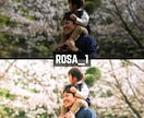 ROSA｜Lightroomプリセット販売します スマホで撮影した写真、ワンタッチで大変身！ イメージ4