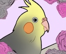 あなたの可愛いペットの鳥ちゃんを可愛く描きます 鳥ちゃんの絵を50枚以上描いてきた者が描きます！ イメージ5
