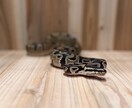 爬虫類コンサルタント承ります 爬虫類飼育の扉を開こう！！一緒に悩みましょう！ イメージ2