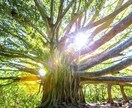 あなたの趣味を見つけます 自分にはどんな趣味が向いているかわからないあなたへ イメージ1