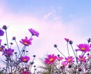悩み、愚痴、相談、何でも２週間お話お聞きします (数日では物足りない。だけど１ヶ月は長いという方に！) イメージ1