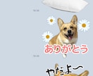 あなたのワンちゃんのLINEスタンプ作ります あなただけのオリジナルLINEスタンプ イメージ3