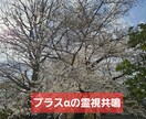 霊視共鳴α今のマイナス根っこプラスに底上げ変換ます もうダメ。。は卒業！過去からの脱却！14日後の自分を育てる！ イメージ1