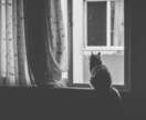 生まれつきの霊感霊視でご相談・愚痴聞きします どんな悩みでもお伺いします！愚痴聞きと霊視両方行えます。 イメージ3