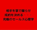 集客に使える究極の心理学25個セットを教えます セールス・集客で抑えるべきポイントを詰め込みました! イメージ1