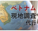 ベトナム現地調査を専門家が代行します ベトナム在住歴10年・現地取材に基づくリアルなレポート イメージ1