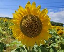 誰かと話したい時に側に寄り添います 話終わった後に貴方が笑顔溢れる様にお手伝いさせて頂きます イメージ1