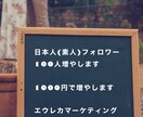 インスタフォロワー１００人増やします 増える/インスタグラム/素人の日本人フォロワー イメージ1