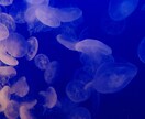ピンタレストを始めたい方に。運用の相談にのります ピンタレストにまつわる「？」にお答えします イメージ5