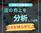 主にデータをグラフ化・分析して現状を可視化します 必要であれば分析に基づいた改善案の提案もできます イメージ3