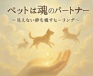 大切なペットの不調や見えない絆を強め癒します 魂で結ばれた大切なその存在に、今こそやさしい癒しを✨ イメージ1